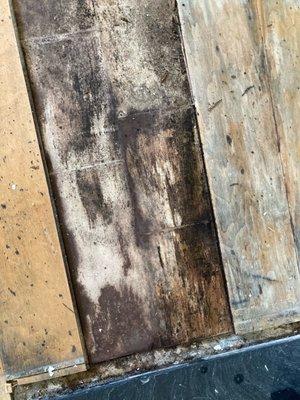 Damaged flooring