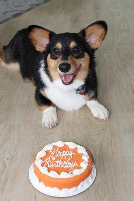 Peanut butter banana pupday cake!