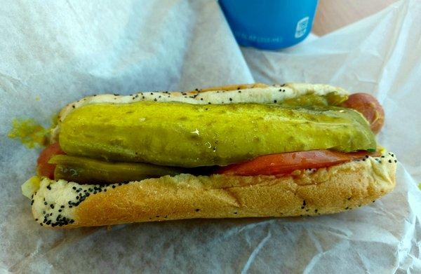 Chicago dog