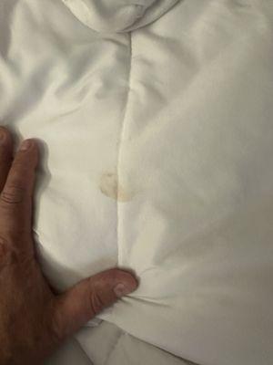 Stain under my top sheet