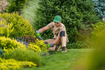 Yard Maintenance