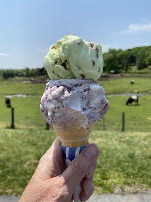 First ice cream cone of the season!