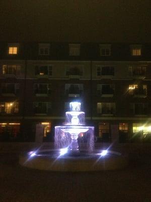 Gorgeous view of the fountain