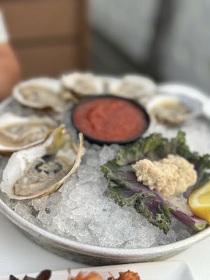 One Dozen Oysters or Clams