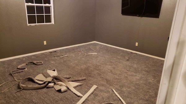 First room of new carpet getting cleaned up and tucked away.