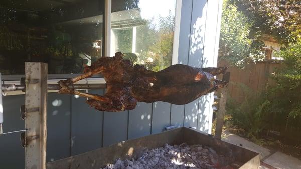 Roasted lamb for greek wedding