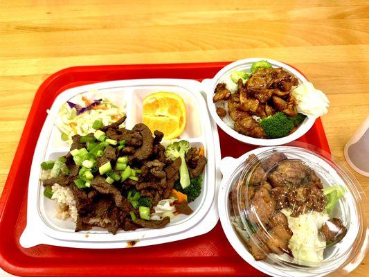 Beef plate and 2 chicken mini bowls