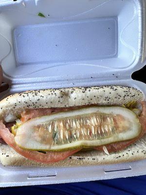 "Chicago Style Hot Dog"