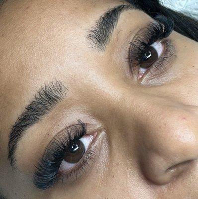 volume lashes