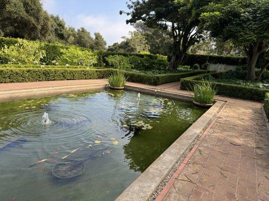 Garden Coy Pond