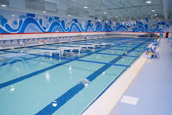 Falls Church's state-of-the-art pool with ultra clean 90-degree water