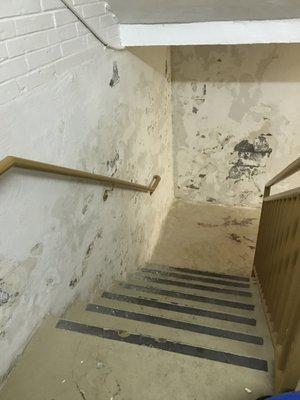 The beautiful stairwell leading down to the laundry room