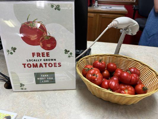 Not always available, but these tomatoes were free on 7/12/24!