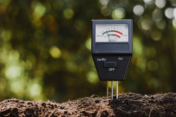 Have you check your soil PH levels recently? Give us a call if you need some help!