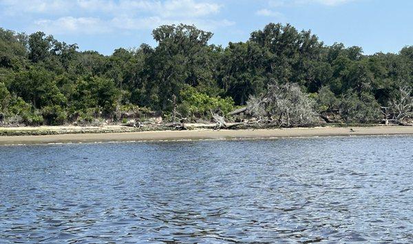 Cumberland Island