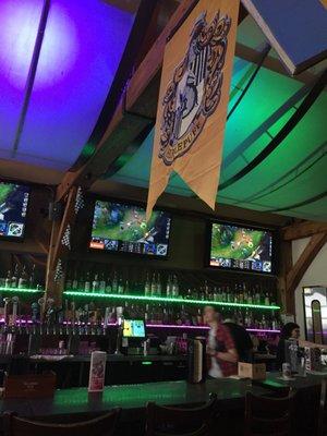 Video games on the TVs, Hufflepuff overhead!