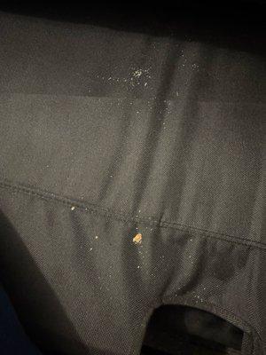 Crumbs in pull out bed