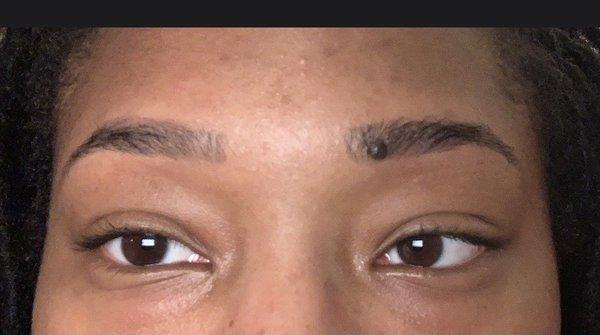 Eyebrows 2 weeks ago