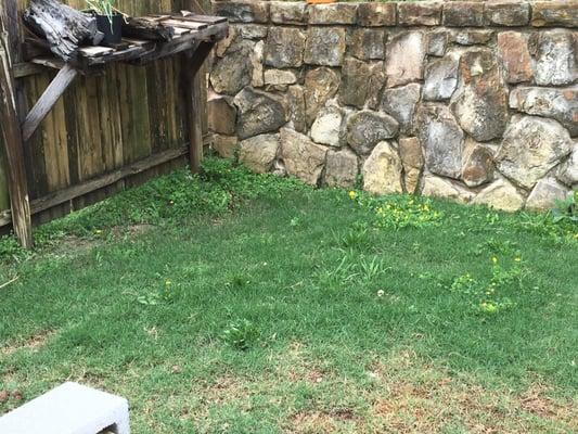 Soils Alive has treated my yard since July of 2015 and it looks worse than ever. My back yard is full of weeds