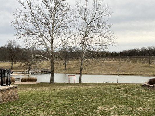 View overlooking the lake