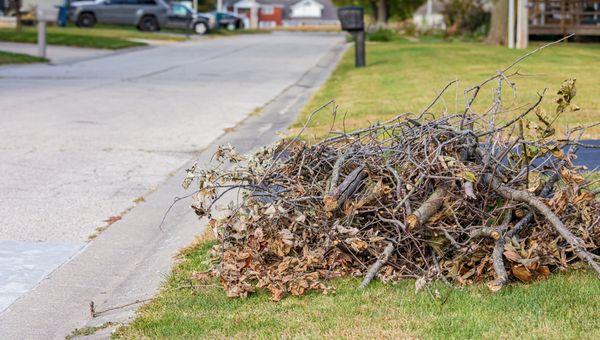 Yard debris haul away