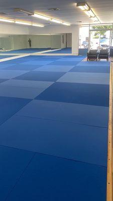 Brand new Mats vibrant blue. He maintains them every day. Everything is sanitized and clean.