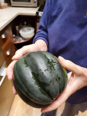 Acorn squash!