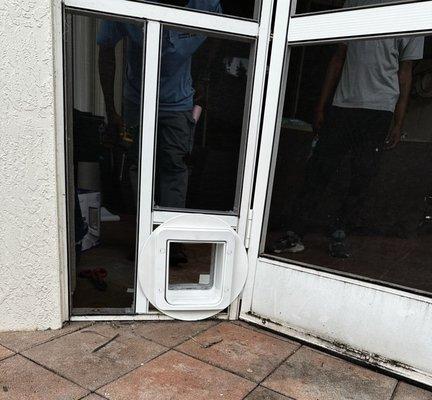 Microchip pet door entry