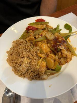 Chicken with Garlic Sauce & Fried Rice