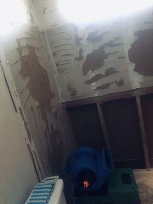 Water damage from bad plumbing