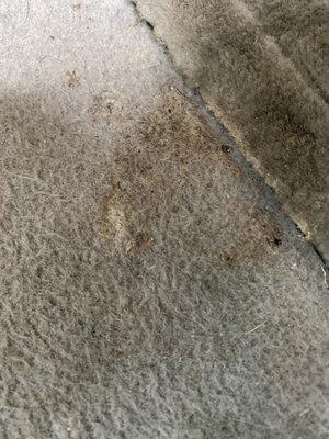 Sticky stuff on my carpet that was supposed to be cleaned