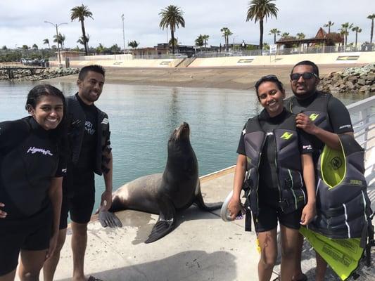 This seal met us at the launching area.