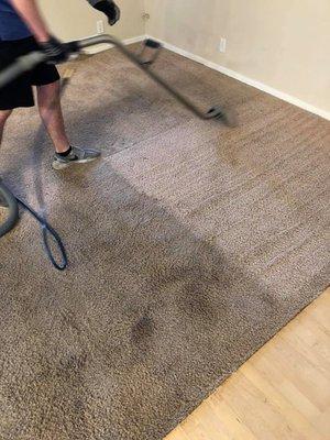 Carpet Cleaning