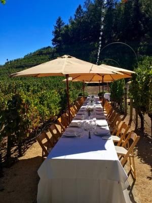 Lunch in the vineyards at Pine Ridge