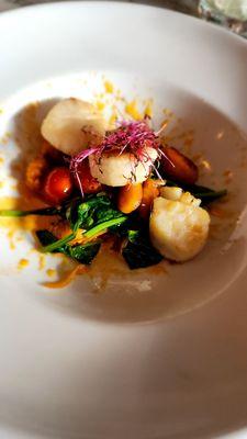 Scallops