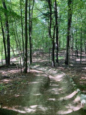 Mountain bike single track trail