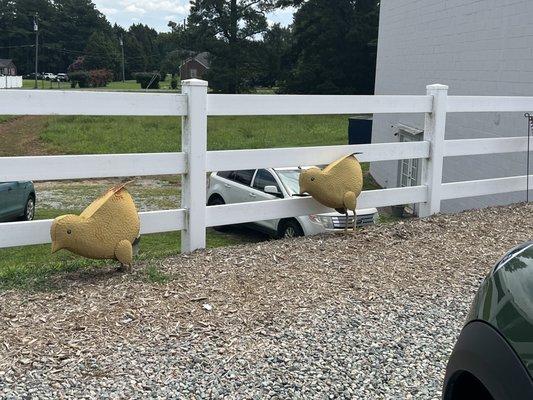 Chicks hanging out in parking lot