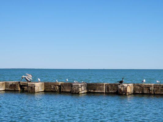 Rockport Birding & Kayak Adventures