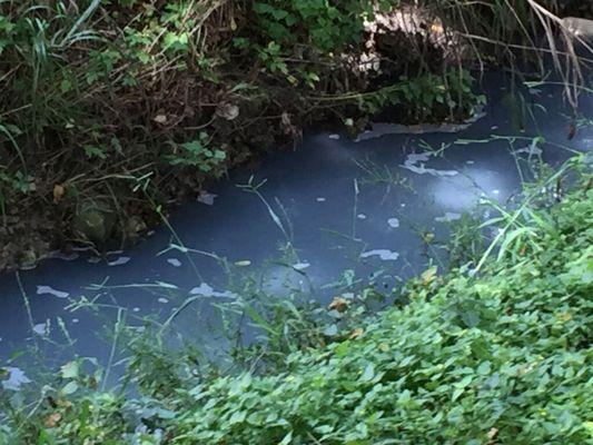 Suds in Williamson Creek after dumping illegal chemical waste 10/7/18