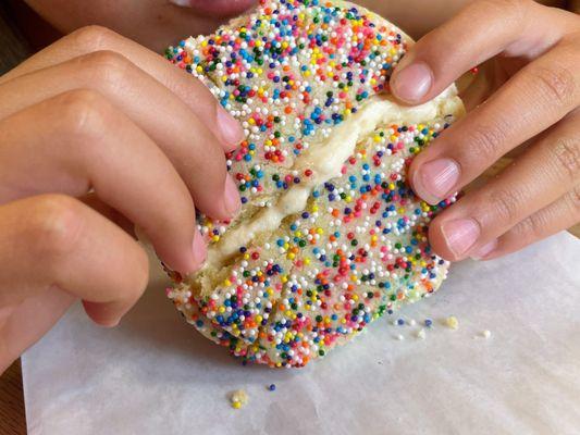 Rainbow sprinkle cookie sandwich with vanilla ice cream