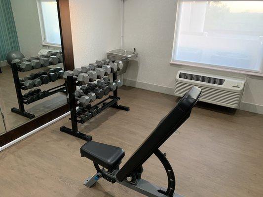 Weights available in the gym