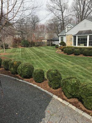 Lawn Care and Lawn Mowing Service in Annandale Va