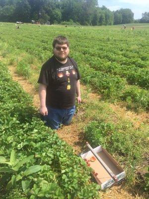 Me, getting down to business to hunt strawberries!