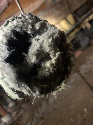 Clogged dryer vent