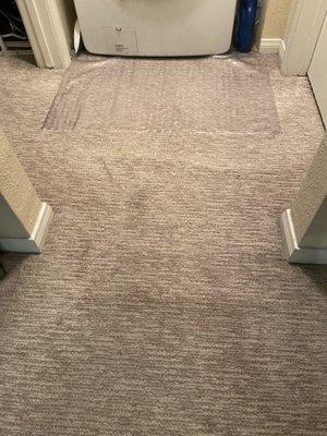 Poll up carpet