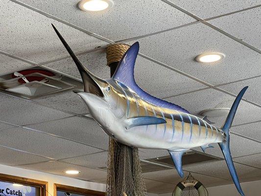 Marlin on the wall