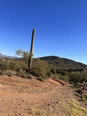 Snapshots from the  East Side of Vulture Peak Tour