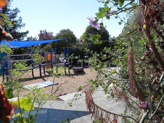 Petaluma Parent Nursery School