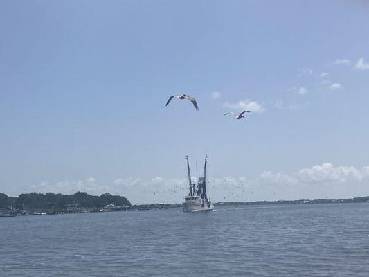 Shrimp boat