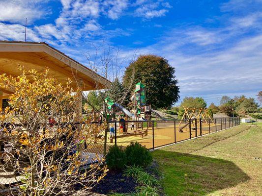 Rose Tree Park -- playground